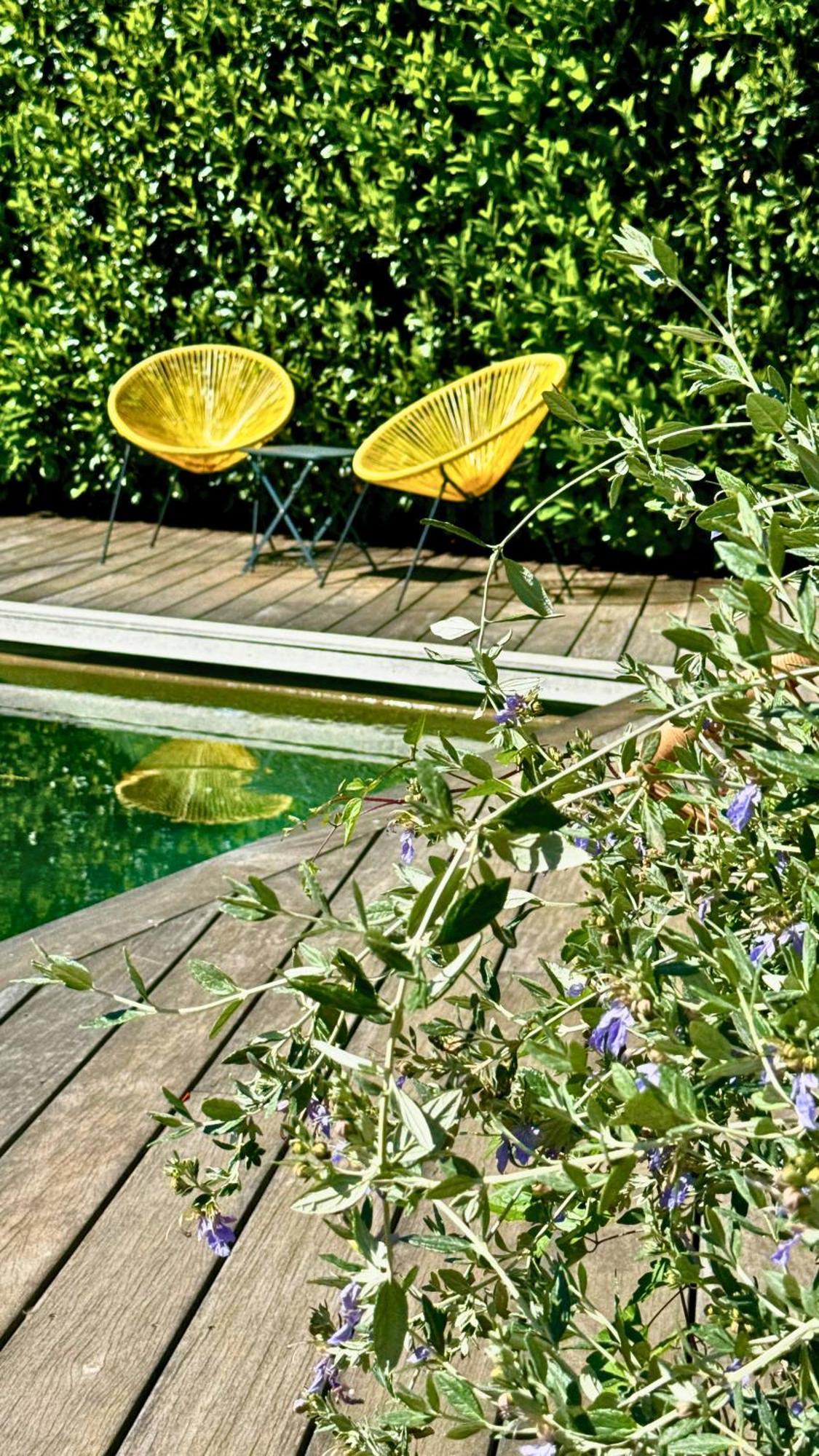 Boutique Hotel Artemisia Bastelica Екстер'єр фото